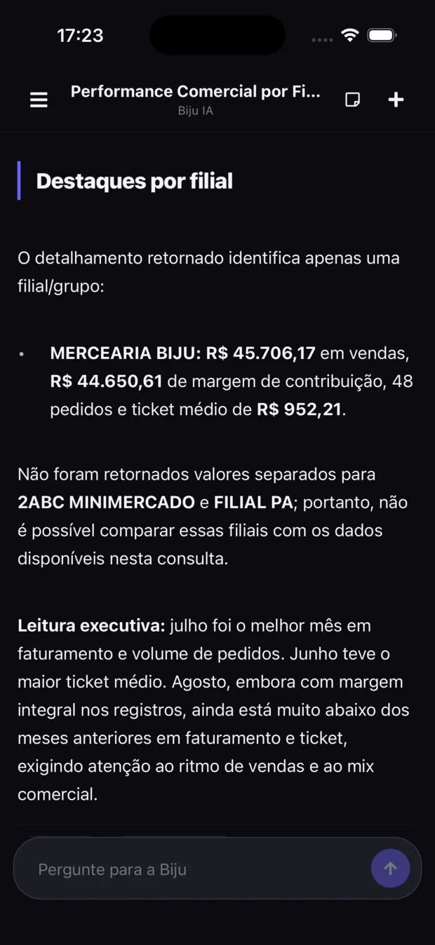 Biju.IA detalhando por filial e fechando com uma leitura executiva do período