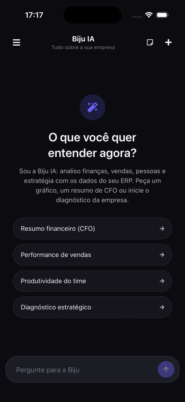 Tela inicial da Biju.IA com atalhos para resumo financeiro, performance de vendas, produtividade do time e diagnóstico estratégico